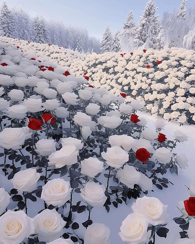 Beautifffff's tweet photo. https://t.co/mVzmccgZ5T