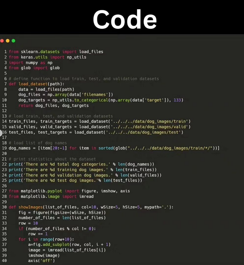 Python_Dv's tweet image. Dog detection using Python morioh.com/a/23fe926c7134

#facedetection #opencv #python #programming #developer #morioh #programmer #softwaredeveloper #computerscience #webdev #webdeveloper #webdevelopment #pythonprogramming #pythonquiz #ai #ml #machinelearning #datascience