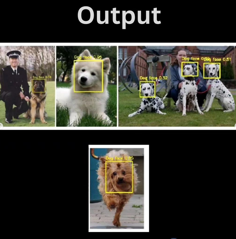 Python_Dv's tweet image. Dog detection using Python morioh.com/a/23fe926c7134

#facedetection #opencv #python #programming #developer #morioh #programmer #softwaredeveloper #computerscience #webdev #webdeveloper #webdevelopment #pythonprogramming #pythonquiz #ai #ml #machinelearning #datascience