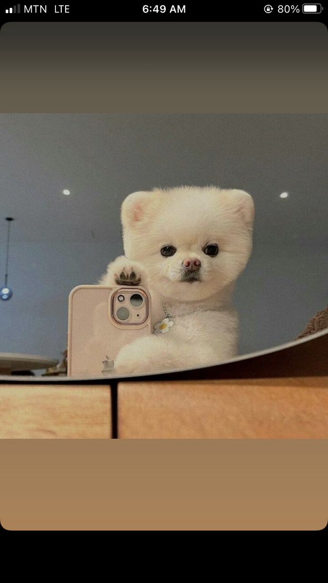 🥰😇❤️