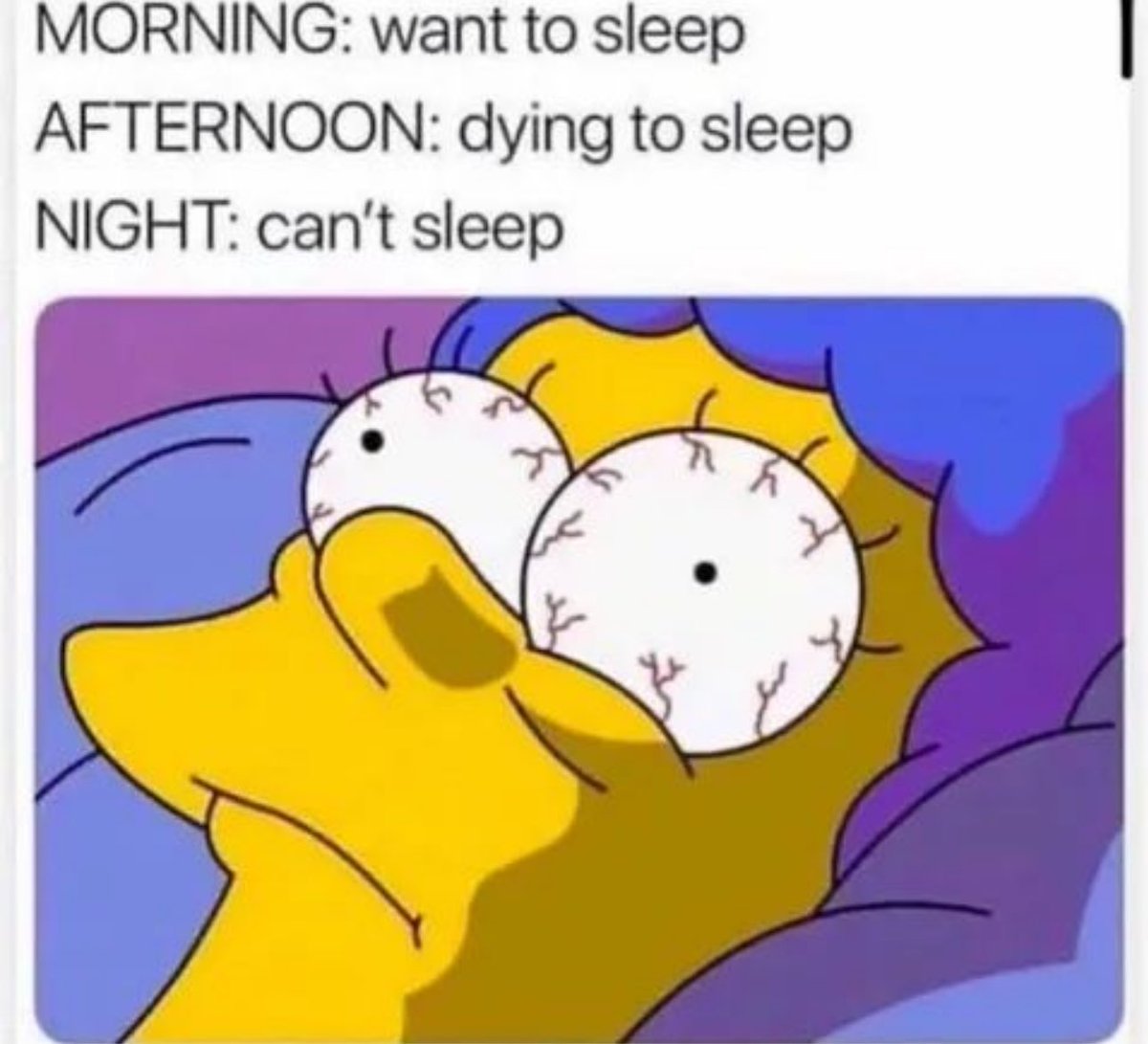 Out of Context Human Race (@nocontexthumans) on Twitter photo 