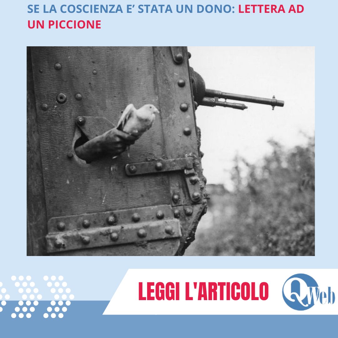 Colombo simbolo di pace:
LEGGI L'ARTICOLO: quotidianoweb.it/cultura-e-soci… 
SOSTIENI #QuotidianoWeb l'informazione LIBERA: quotidianoweb.it/donazione/
#animali #piccioni #filosofia #religione #spiritualità #suicidio #nichilismo #Nietzsche #Genocidio #Palestina #Gaza #coscienza