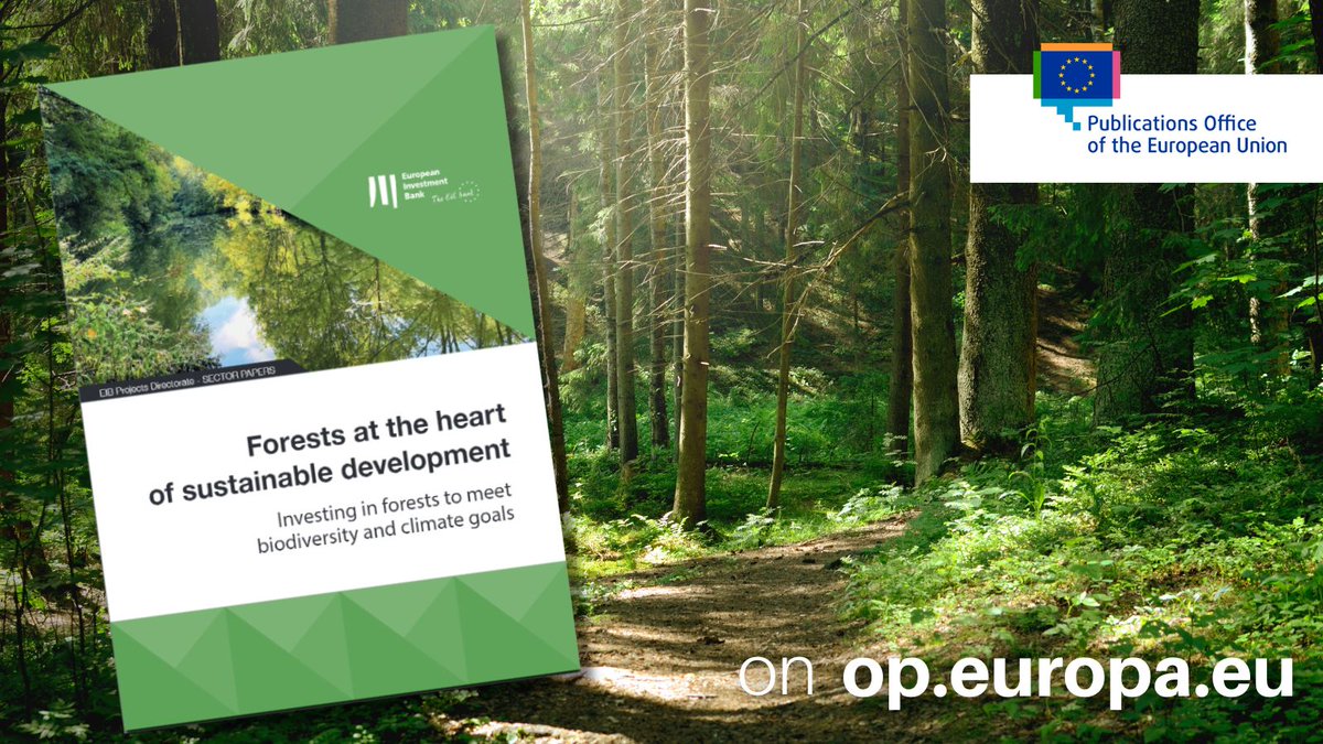 EUPublications's tweet photo. 🌳🌲🍃
#EUForestStrategy for 2030 is in line with the UN 2030 Agenda for Sustainable Development, taking forestry & biodiversity conservation to the next level 🌳🌱
👉 https://t.co/b2ymQKFyLj
#EUBiodiversity https://t.co/PKqcBeGuJN