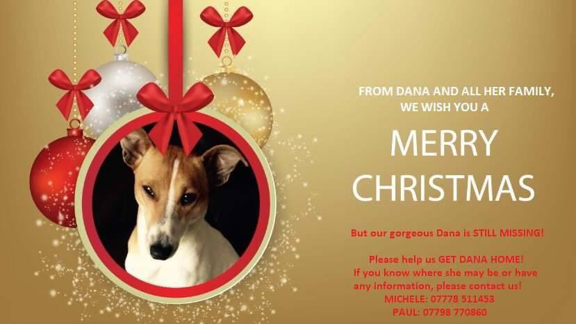 Our Christmas wish is still the same and we haven’t given up hope that one day it will come true! Thank you to all of Dana’s followers for your constant support over the year.  Please still keep Dana in your hearts and minds, for us. 💕💕💕