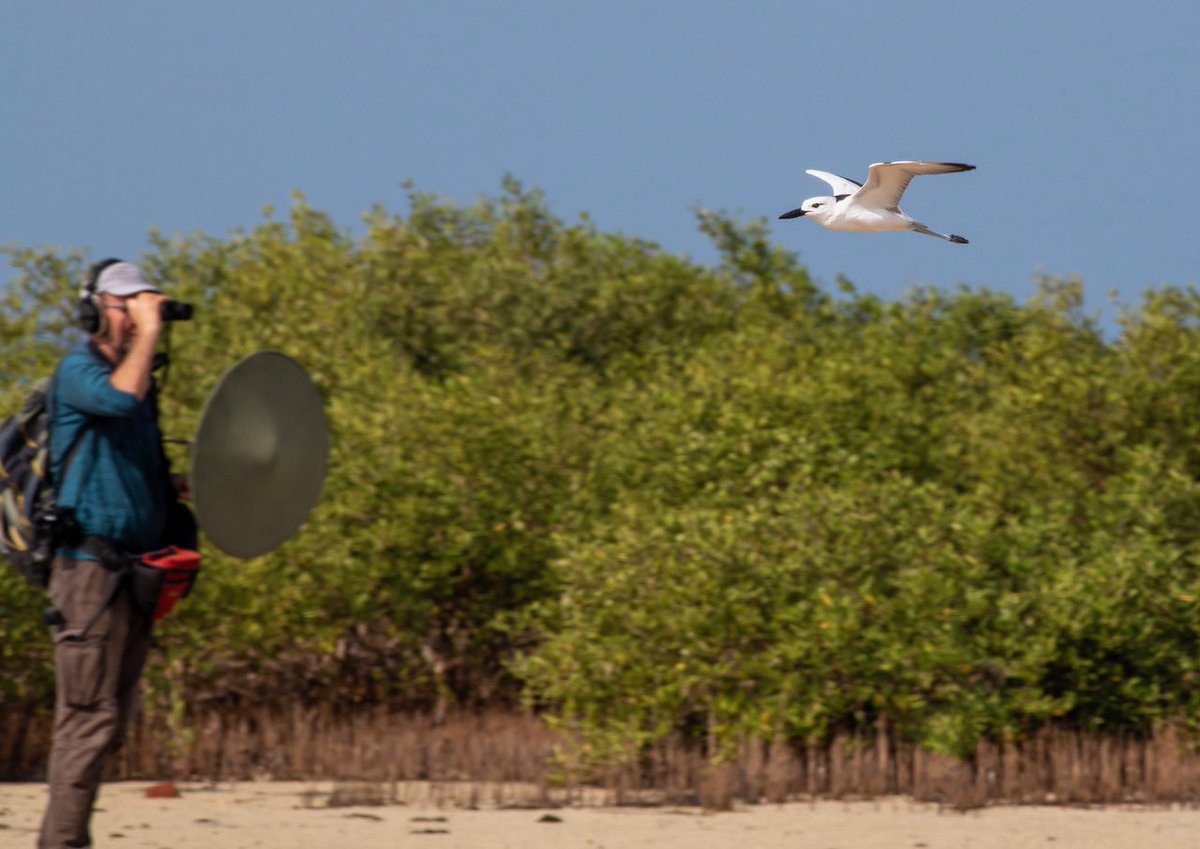 The Sound Approach tweet media