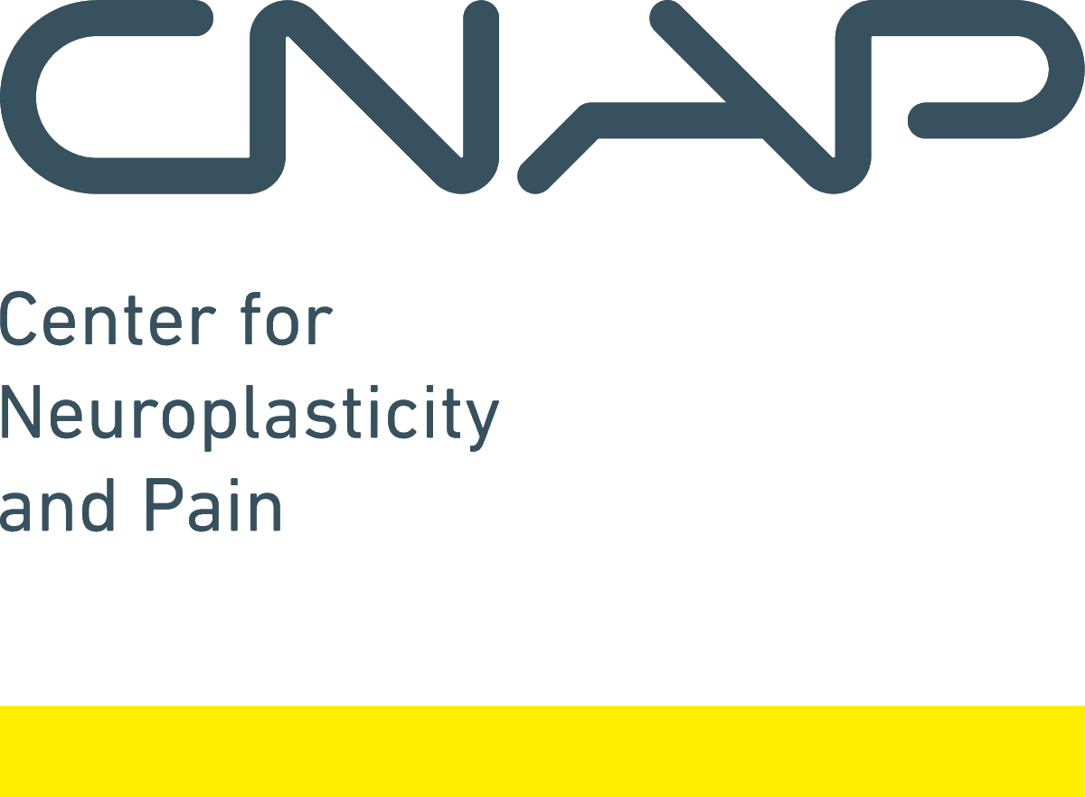 We're hiring <a href="/CNAP_AAU/">CNAP-AAU</a>  👊💡 Join us by applying for a three-year post-doctoral researcher position, focusing on non-invasive neuromodulation for chronic pain relief. Retweet, apply and look for more info here: cnap.hst.aau.dk/vacanciesoror or get in touch with <a href="/daniel_ciampi/">ciampi-de-andrade</a>