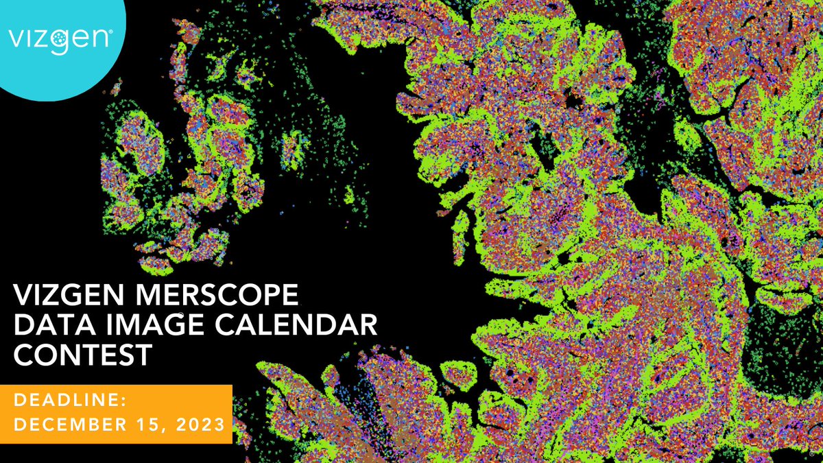 vizgen_inc's tweet photo. 📣Don't miss out! The deadline for a chance to be featured in the 2024 #Vizgen calendar is tomorrow, Friday December 15, 2023 at 5pm EST. Submit your #MERSCOPE #DataImages here: https://t.co/E9TcEepxuK 👩‍🔬🎨

#SciArt #MERFISH #SpatialBiology #AcademicTwitter #SpatialBiology https://t.co/GsQnCDmfIJ