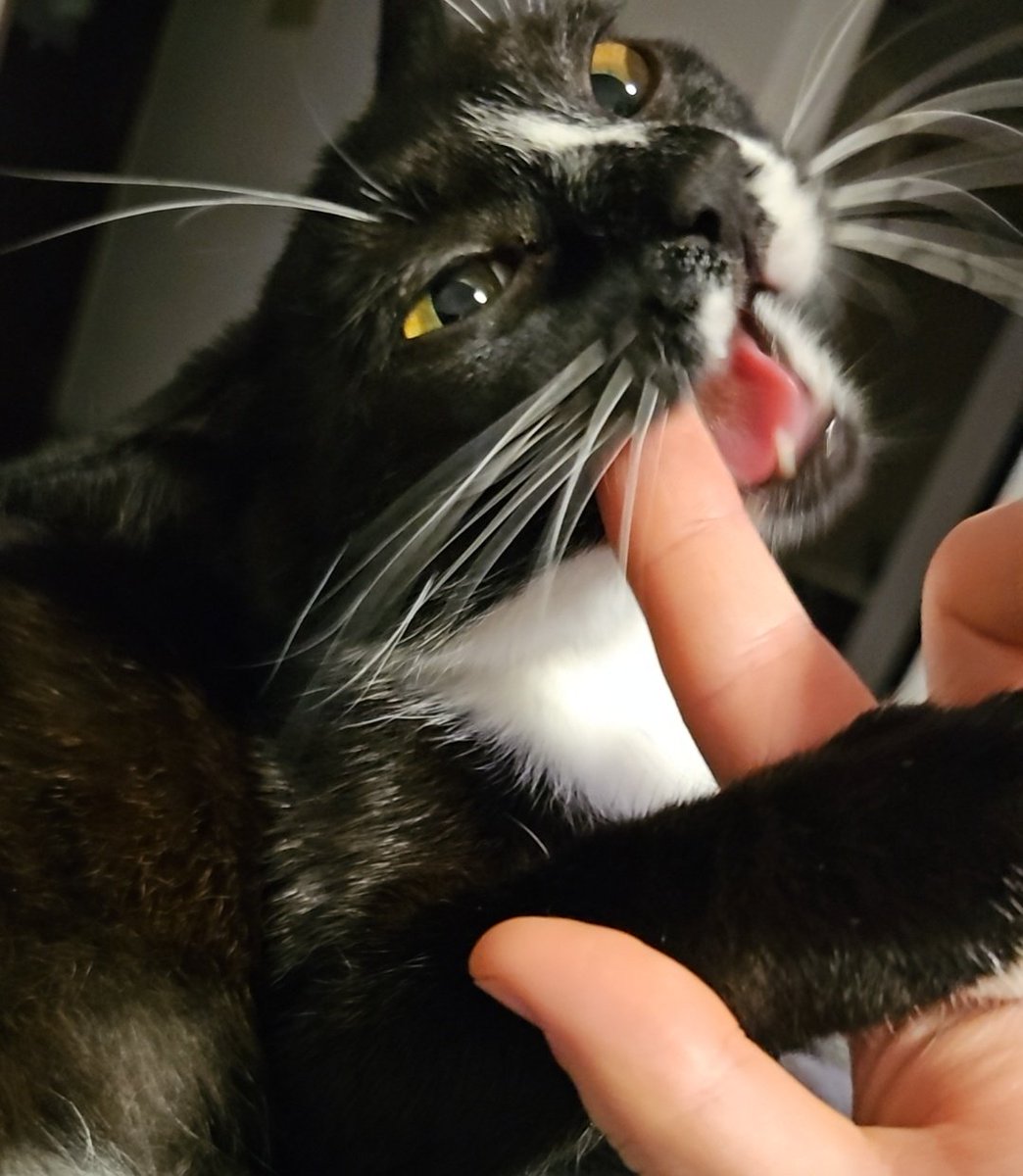 The hesdpats became violence.