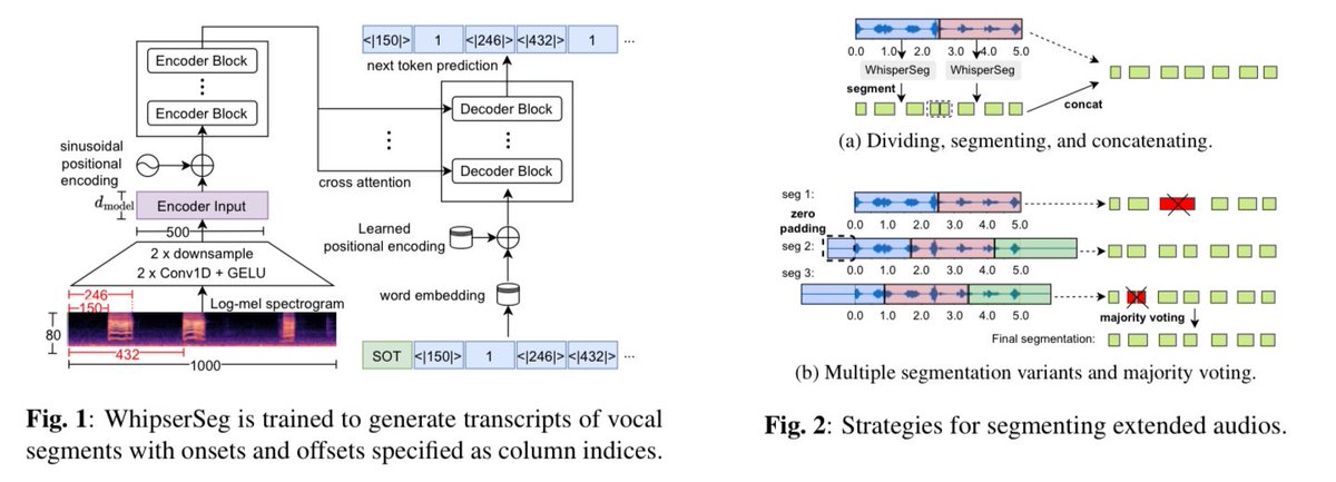 GuNianlong's tweet photo. 🎉 Exciting News! #ICASSP2024 Our paper, "Positive Transfer of the Whisper Speech Transformer to Human and Animal Voice Activity Detection" (WhisperSeg),has been accepted to the 2024 IEEE International Conference on Acoustics, Speech &amp; Signal Processing (ICASSP)! https://t.co/uVcrQpAjdA