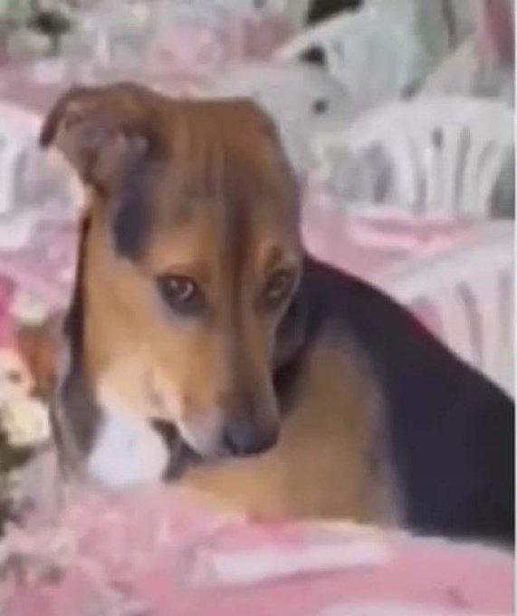 mandei e-mail pra um cliente chamando ele pelo nome de outro cliente https://t.co/bxdLUDgidX<a href="/tag/votelgbtq"class="tags"><span>#votelgbtq</span></a>