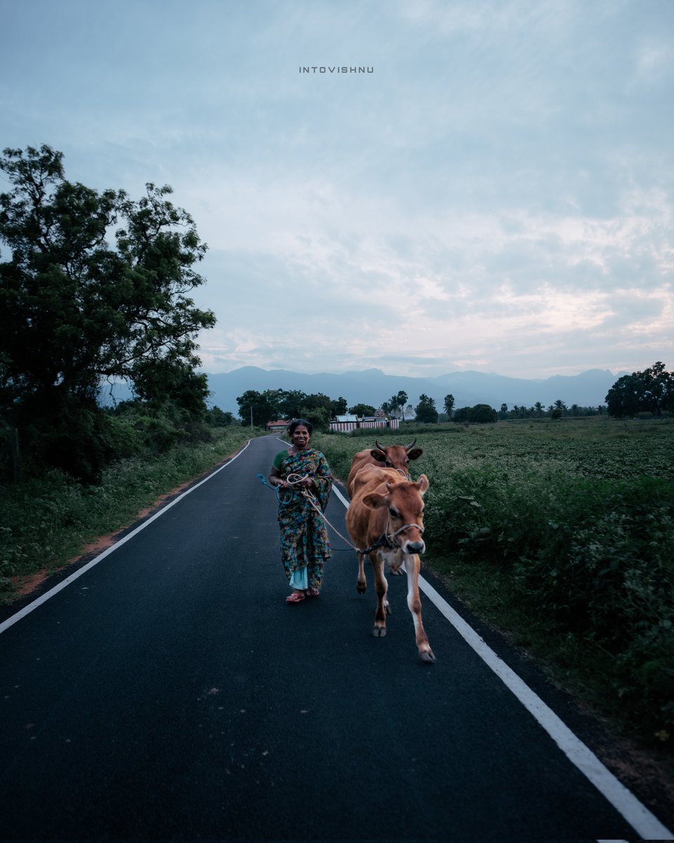 Intovishnu's tweet photo. A click from #dindigul village of Tamilnadu - Shot on #Nikon https://t.co/Oze53nQaDx