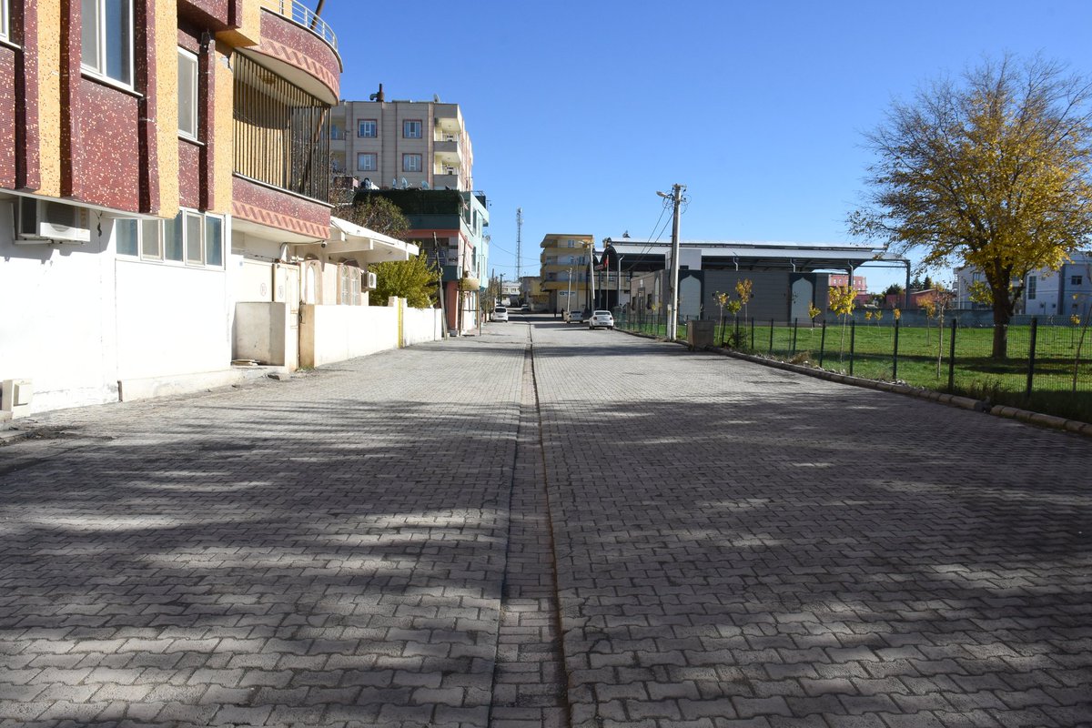 Aslan Ali Bayık tweet media