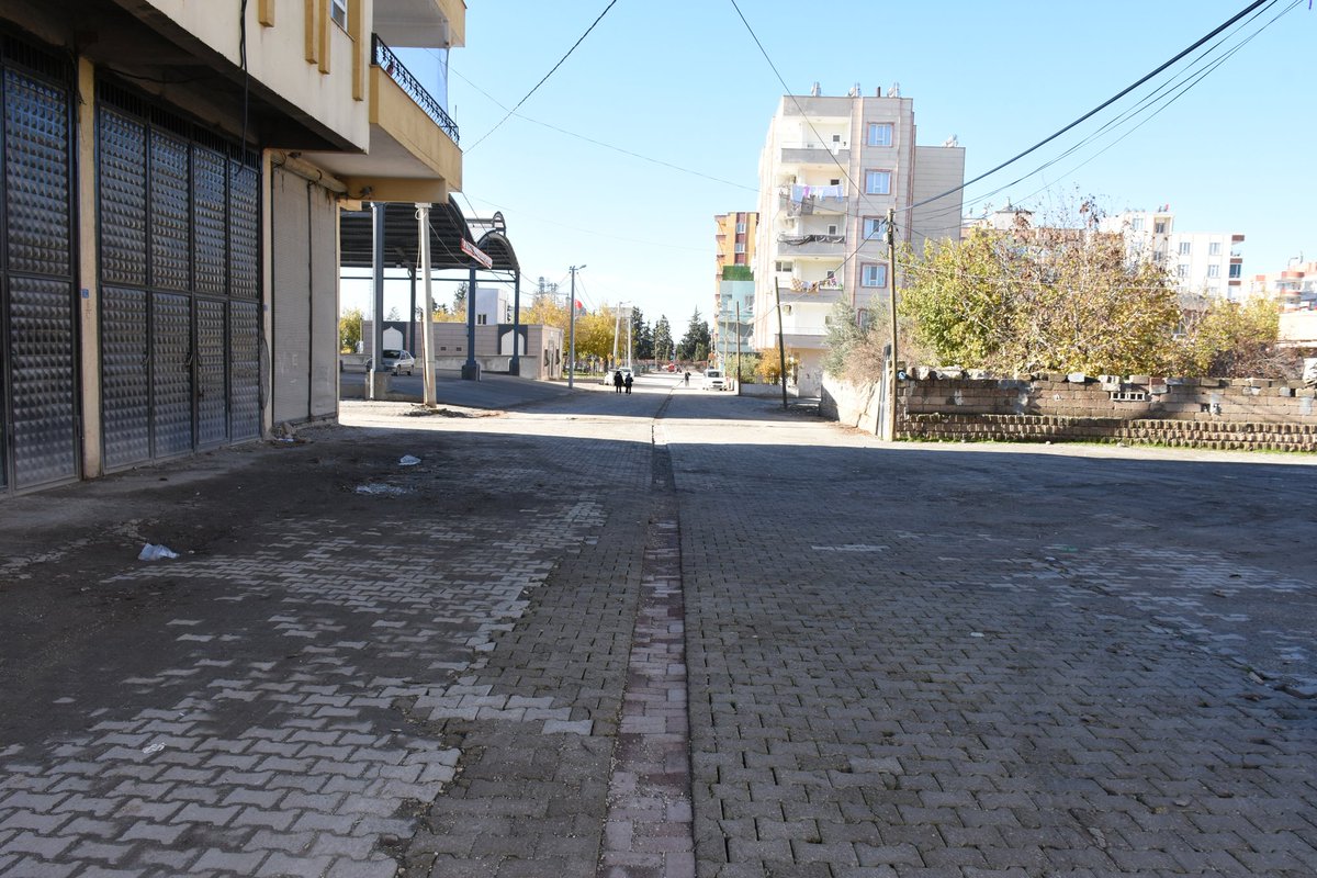 Aslan Ali Bayık tweet media