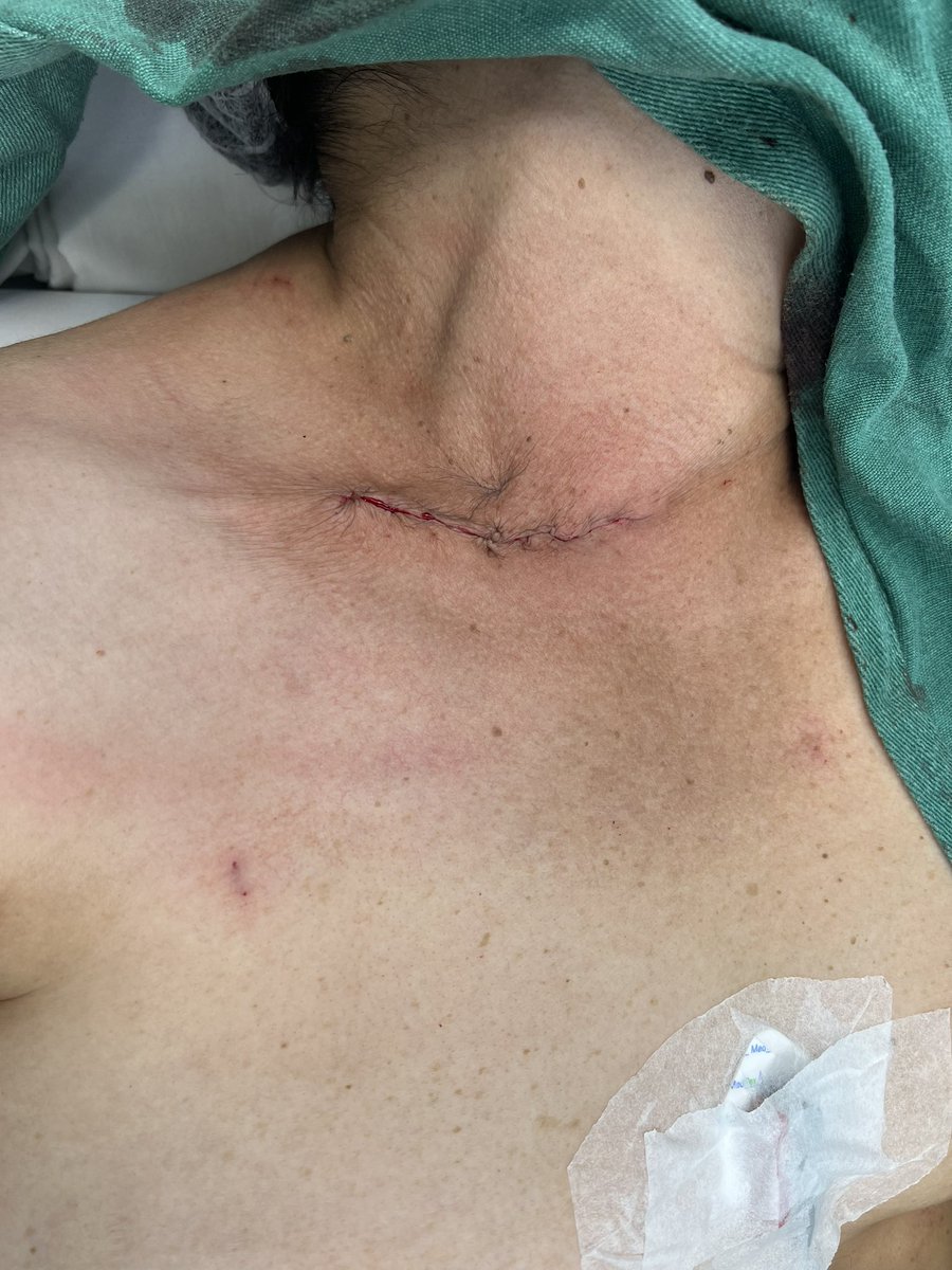 André Poci tweet media