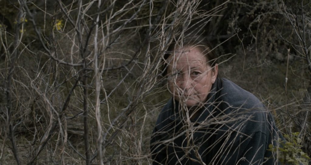 LaPalmaFilm's tweet photo. | RODADO EN LA PALMA |

🎞 "LA HOJARASCA", la primera cinta dirigida por una canaria que compite en la @berlinale , es la ópera prima de la directora Macu Machín, producida por la productora canaria @elviajefilms 🎥
@LaPalmaFilm @CabLaPalma @sodepal @visitalapalma #cine #lapalma https://t.co/EviPW569sl