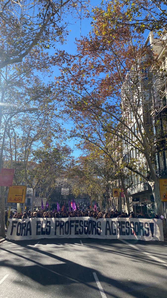 #VAGA14D || La manifestació de Barcelona avança.

Centenars d'estudiants sortim avui als carrers entorn la Vaga contra els professors agressors i per un model Coeducador que aconsegueixi abolir el patriarcat de les aules, i conseqüentment de la societat.