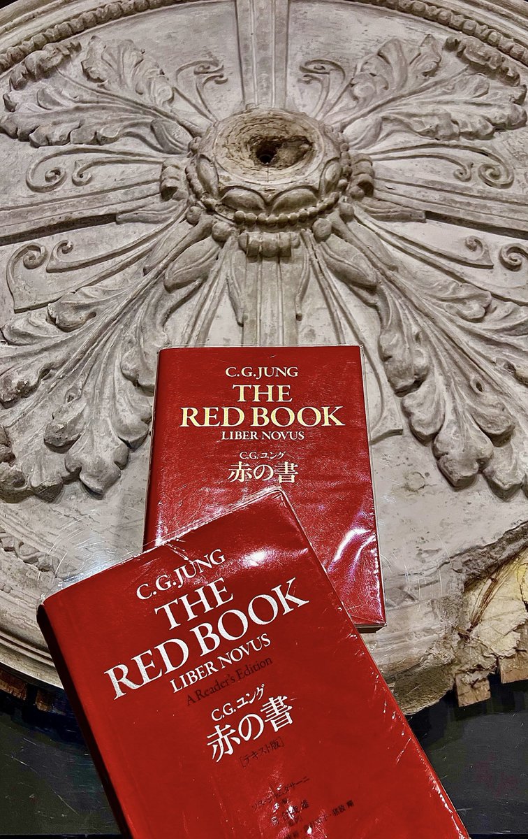 luca_Jubilate's tweet image. 《ヌミノース》

赤の書でカール・グスタフ・ユングが語る“ヌミノース”という言葉で思い出されるのは、ウィリアム・ジェームズの『宗教的経験の諸相』です.

#TheRedBook
#ユング心理学
#ユング
#ウィリアム・ジェームズ