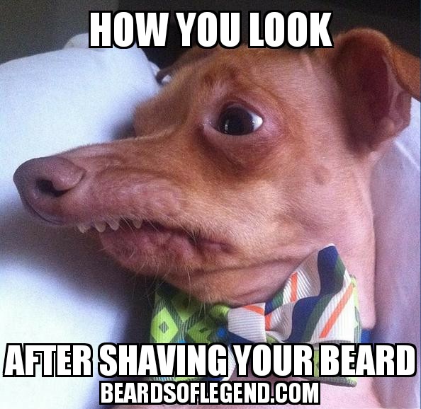 It's been so long I can't remember what my chin looks like...🤣🤣