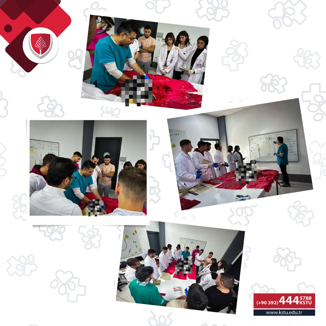 kstuintl's tweet photo. Our application courses continue in the Faculty of Veterinary Medicine Anatomy Laboratory. Our Veterinary Medicine candidates continue to improve their theoretical knowledge with practices and prepare for their future professional life in the best and strongest way. https://t.co/NioslgCp9p