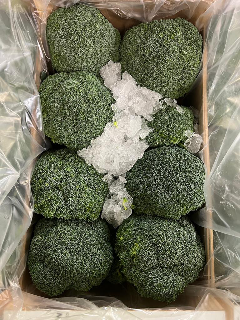 Fruco_plc's tweet photo. Today's warehouse stock update! Call us on 01580 232300 to place your order. https://t.co/fy16aN8qIl