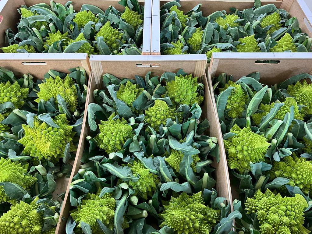 Fruco_plc's tweet photo. Today's warehouse stock update! Call us on 01580 232300 to place your order. https://t.co/fy16aN8qIl