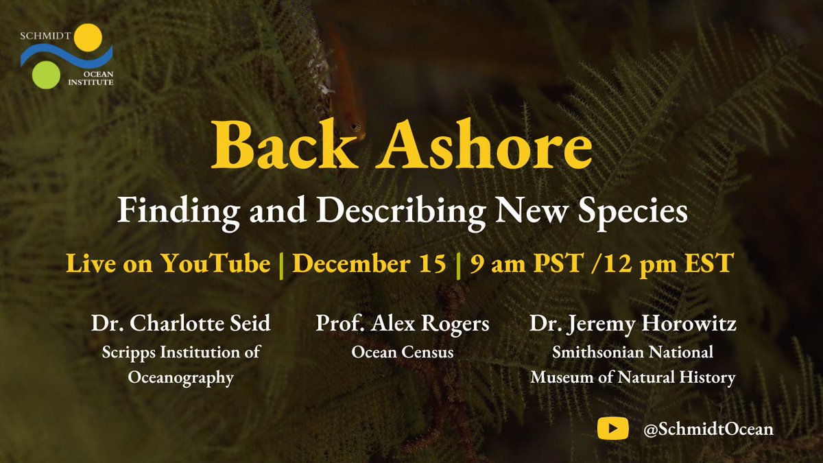 SchmidtOcean's tweet photo. Join us for #BackAshore: Finding and Describing New Species TOMORROW, Dec 15 at 9 AM Pacific / Noon Eastern for a discussion with Dr. Jeremy Horowitz, Dr. Charlotte Seid, and Prof. Alex Rogers on the process of finding and naming new species.
https://t.co/d6vV4K1C5T https://t.co/i7OpIIIJer