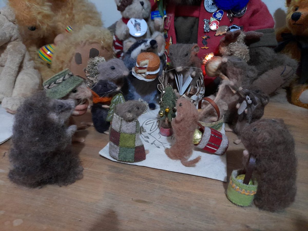 bodgingbiker's tweet photo. @andtheHare The surprise delivery of a decorated Yule Tree has caused much excitement 🥰 Thank you 😊 https://t.co/hSJ6IFqYun