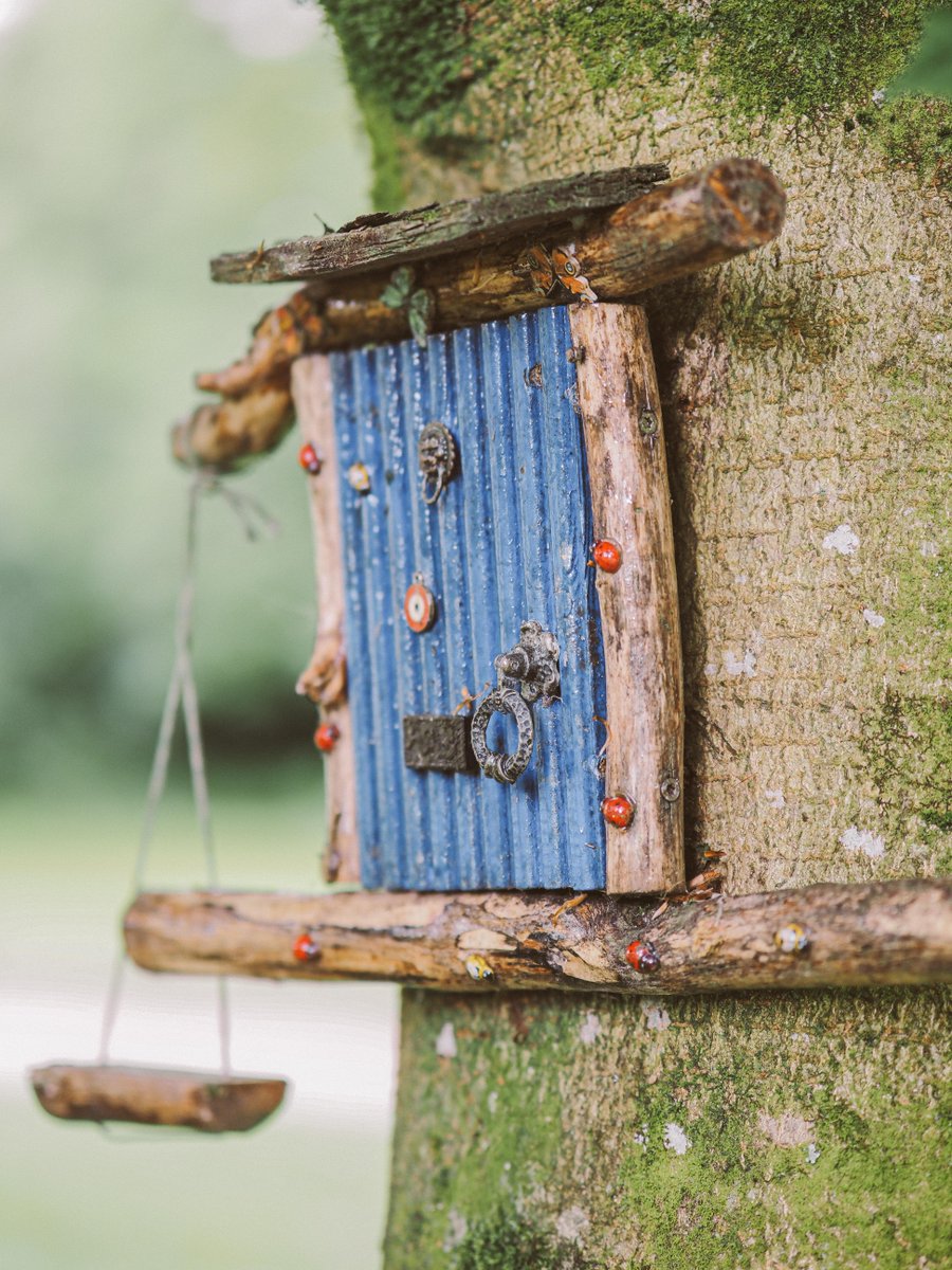 killasheehotel's tweet photo. Plan a little January Adventure with your loved ones. Slip away to Killashee for a fun filled  getaway with something for the whole family! 👩‍👩‍👧‍👦

Explore our beautiful gardens with our fairy forest, playground and butterfly trail 🛝🦋

#killashee #familygetaway #discoverkildare https://t.co/89jz4MTxic