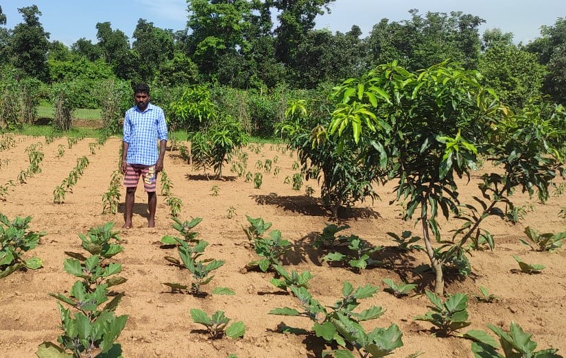DfoSundargarh's tweet image. From Migrant Laborer to Successful Farmer:
Ananta Majhi, a 45-year-old resident of Turungagarh VSS, Ujalpur FMU, After OFSDP-II&apos;s implementation in Dec2017 and the revival of Turungagarh VSS, Ananta actively engaged in convergence programs...(1/3)
#OFSDP
#Livelihood
@ForestDeptt