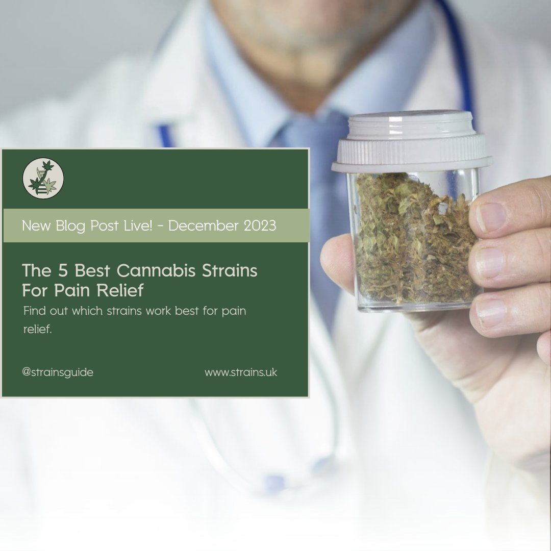 Transform your pain management with our top 5 cannabis strains! 🍃💪 Read our blog to learn more.

bud.how/gvr