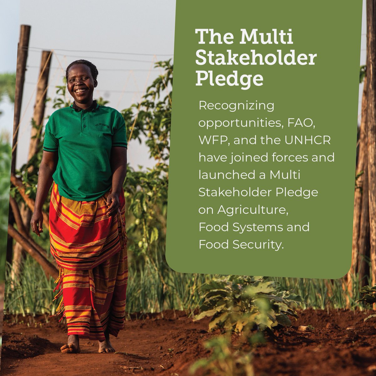 FAOEastAfrica's tweet photo. .@FAO, in collaboration with @UNHCR &amp; @WFP, launched a Multistakeholder Pledge on #Agriculture, Food Systems &amp; Food Security, during the #GlobalRefugeeForum2023 high-level event which reflected on refugee self-reliance.

#AgricultureCan 
#RefugeeSolutions https://t.co/aEdjzvaK8l