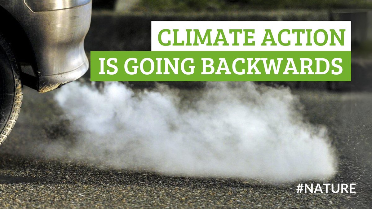 One year on from #COP15 what progress has Gov made to meet its targets for nature? New analysis has found that 👇 👈11 targets have seen no progress or have gone backwards ❗️7 targets have seen progress (in very small amounts) Read more 👉wcl.org.uk/cop15-one-year…