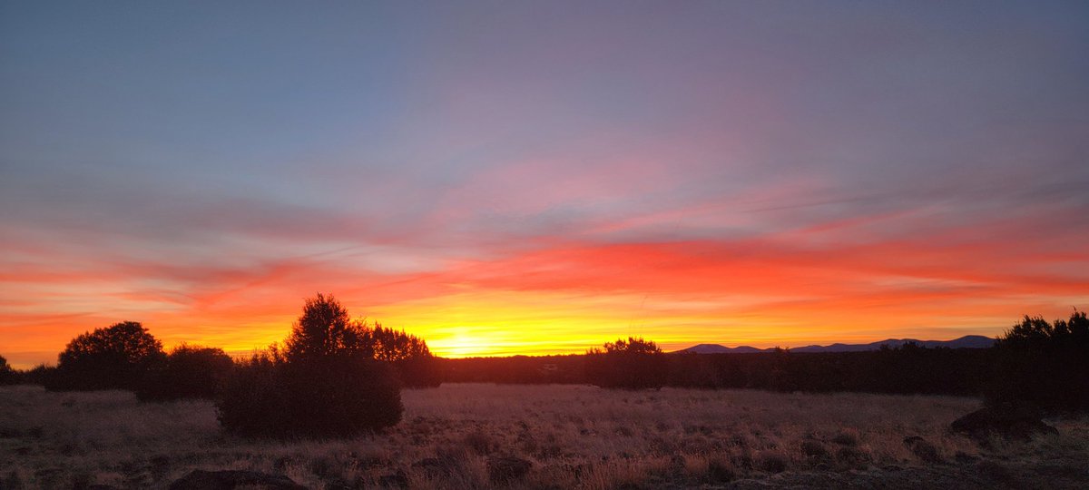 LochleeC's tweet photo. No filters needed when nature puts on a show like this #NoFilter #Sunrise #Nature #offgridlife #sunrisesofX #thanksGrok https://t.co/AXj5fez5WR