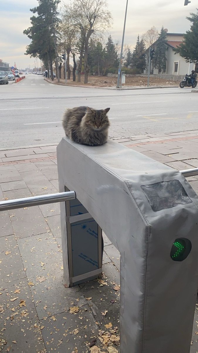 gulyrae's tweet photo. yakışıklı güvenlik https://t.co/s0d0YV4RrU