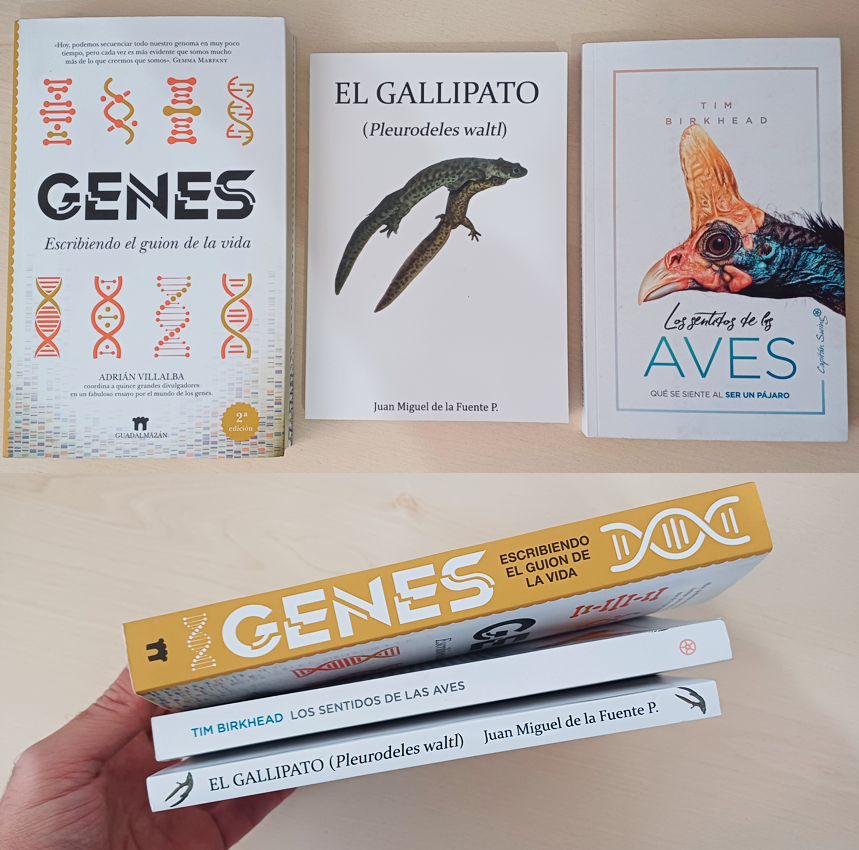 DrBioblogo's tweet photo. Durante mucho tiempo, diversos motivos me han impedido disfrutar del placer de comprar libros ...
... ahora empieza mi "venganza" 😉
@Capitan_Swing @LAlrededor
@brionesci @ConchiLillo @SdeStendhal
@SaraRC83 @Hjorvik @Mylestring 😘
#biogeo #LibrosRecomendados https://t.co/r1TC7NY8cw
