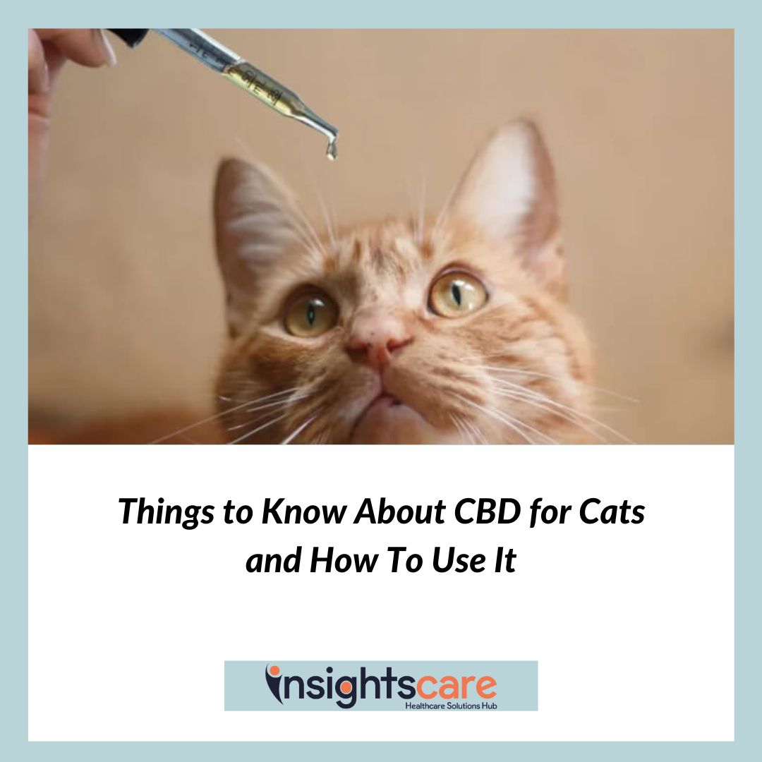 Insightscare's tweet image. Caring for your feline friend? I&apos;d like you to please discover essential insights about CBD for cats and its optimal usage for their well-being. 🐱💫

Things to Know About CBD for Cats and How To Use It

Read More: bit.ly/3v163N6

#CBDforCats #PetWellness #CBDInsights