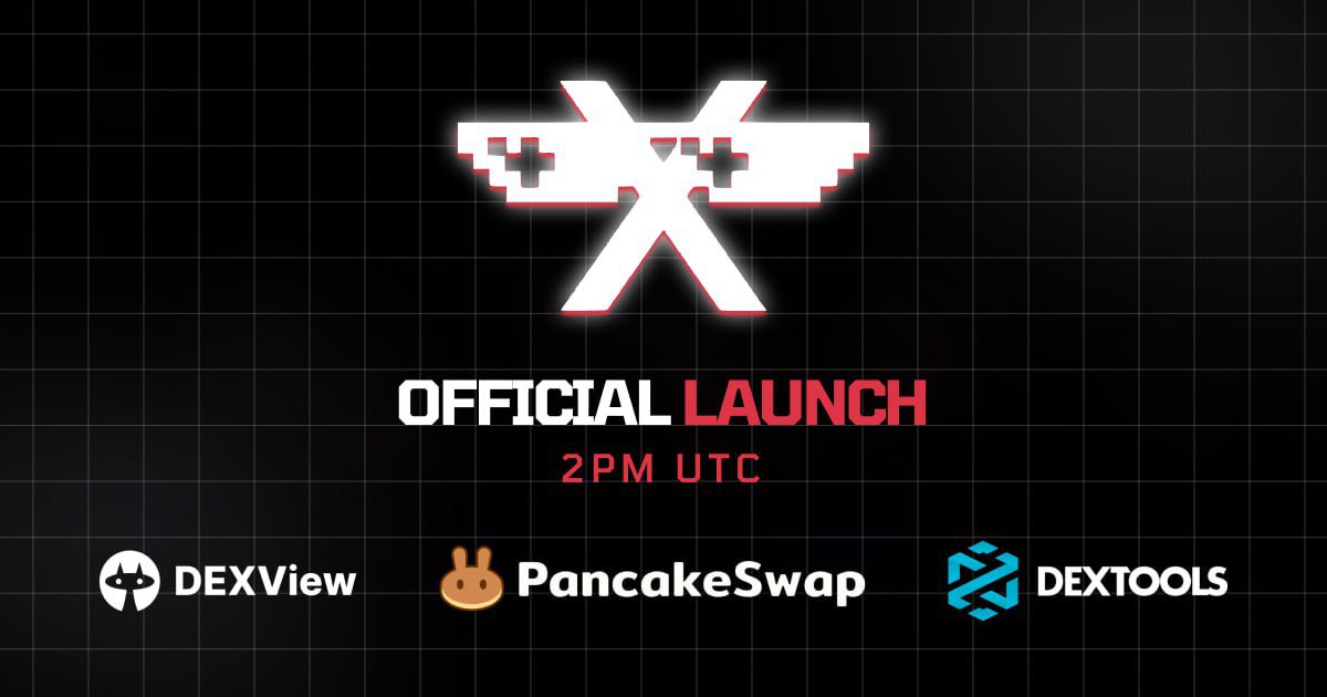 GrokChain_BSC's tweet image. Launching in 45mins. 

Are you ready? ✨ 

#Grokchain #GROK #BabyGrok