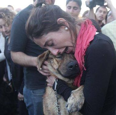 Pawzazzle's tweet photo. She thought she had lost her dog after an earthquake hit their home in Argentina. Here is the moment they reunited. Dogs are not just pets, Dogs are family. ❤ https://t.co/YpM5m5XGwq