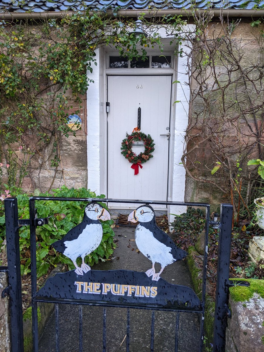 HelSingleton's tweet photo. Doors of the East Neuk of Fife #backonthedoors #AdoorableThursday 
#doorsofscotland
#lookupmore https://t.co/h6nehbv1iv