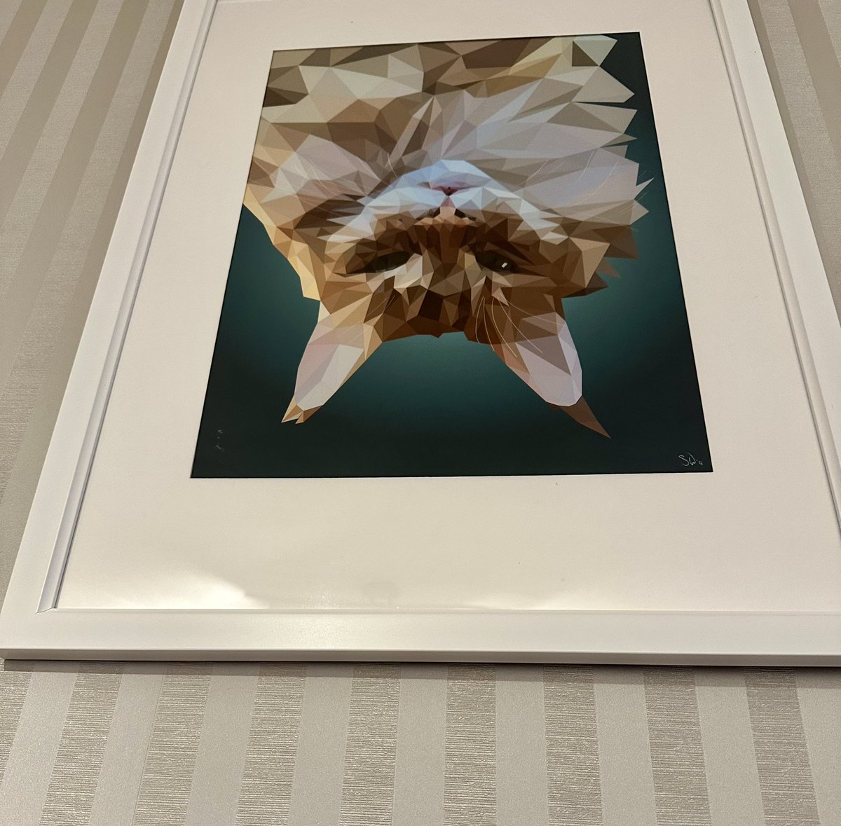 🌈 Buddy 🌈 & Gizmo 🦁🦁 tweet media