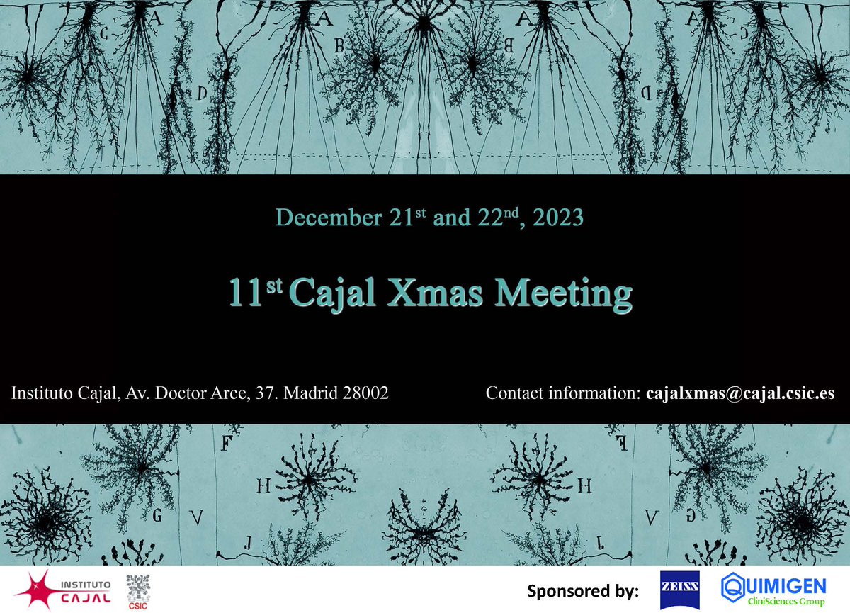 Centro de Neurociencias Cajal - CSIC tweet media