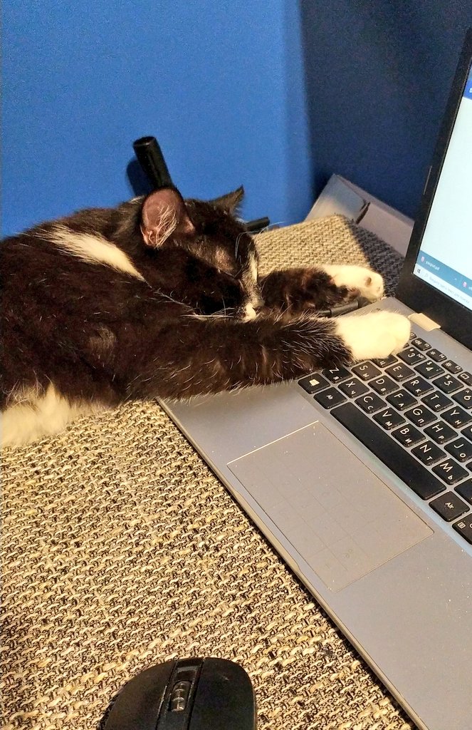 HisysGames's tweet photo. Junior game designer Ora has come to check your progress =)
Have a great Thursday, guys and girls!

#visualnovel #indiegame #gamedevs #hisysmeme #hisyspets https://t.co/ElneRV2E9z