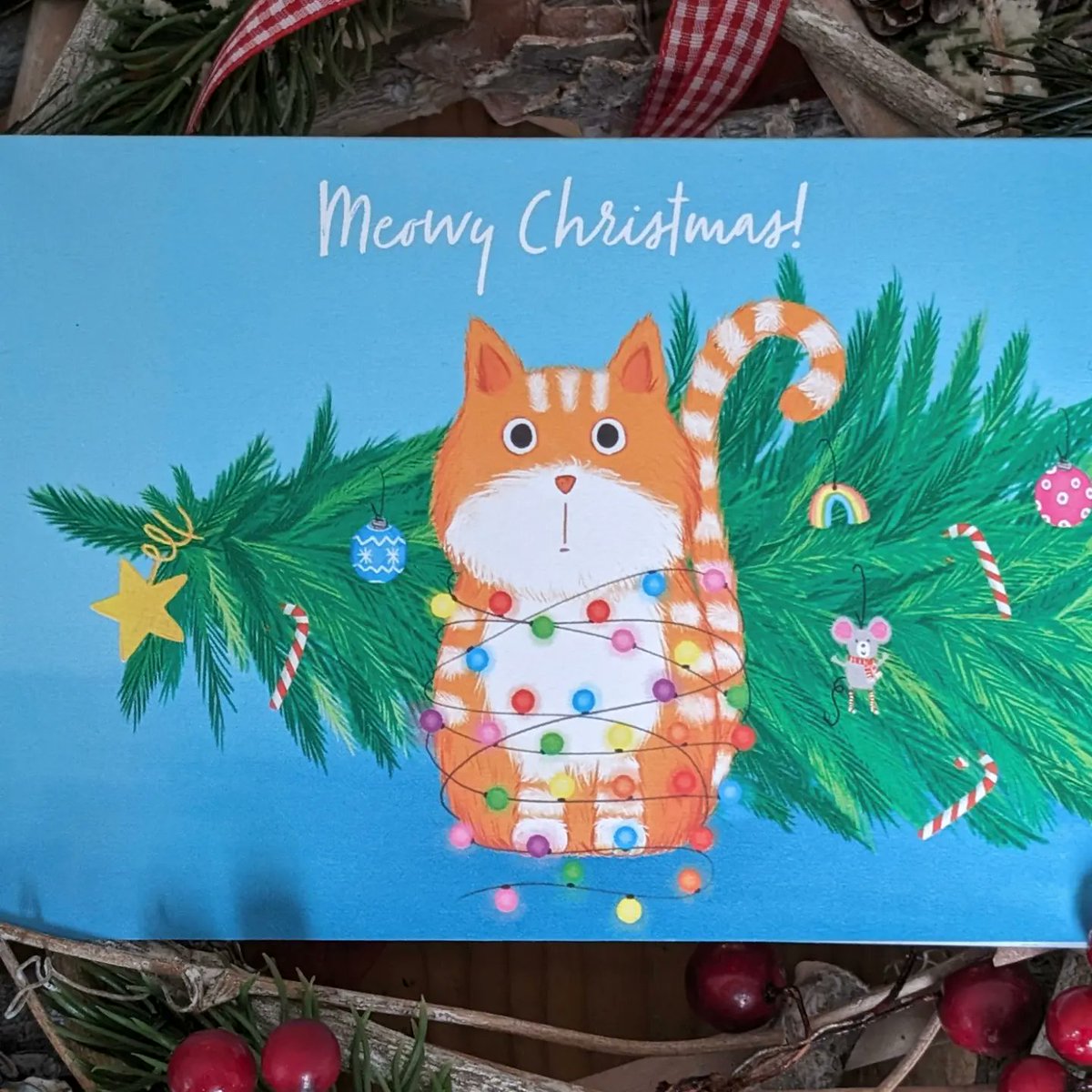 Louise_Redshaw's tweet image. Only 4 Guinea Pig cards and 5 Ginger Cat cards left in my #etsystore now 👀. 
louiseredshawart.etsy.com

#CatsOfTwitter #guineapig #Christmas2023 #shoplocal #illustration