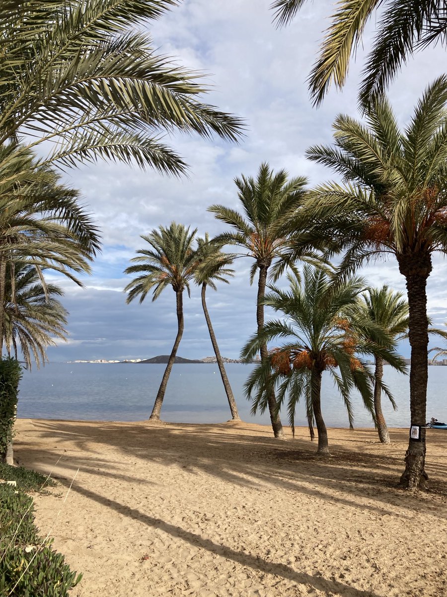 ElRealThing1's tweet photo. #RealSpain in December.

Beautiful. https://t.co/1XTpSuAZYa