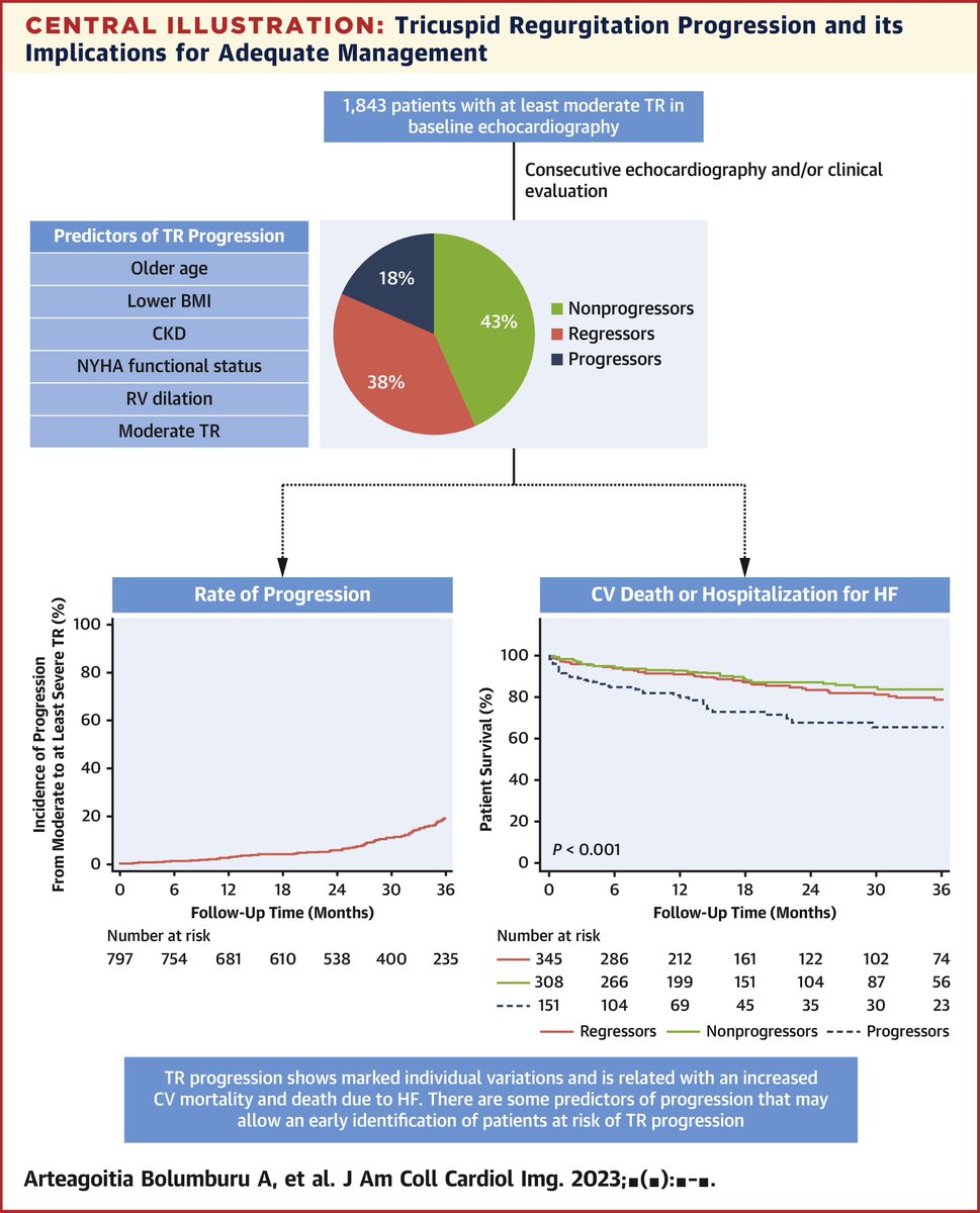 ACCinTouch's tweet photo. A recent study in #JACCIMG showed patients w/ significant tricuspid regurgitation (TR) had a high prevalence of comorbidities, and that TR progression was a determinant for survival regardless of TR initial severity.

Read more: https://t.co/rVQQI300Rj https://t.co/PGJWwtcGyC