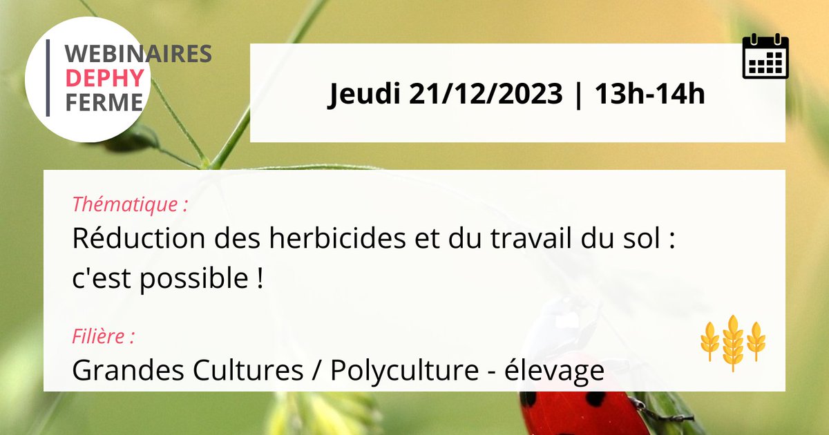 [J-7 WEBINAIRE DEPHY FERME] 🐞
Réduction des herbicides et du travail du sol : c'est possible ! 🌱
📅 Jeudi 21 décembre | 13h-14h
Infos &amp; inscription 👉 cutt.ly/SwI8Z1Bz

#webinaire #DEPHY #DEPHYFERME #GCPE #GrandesCultures #Polyculture #élevage #WDF