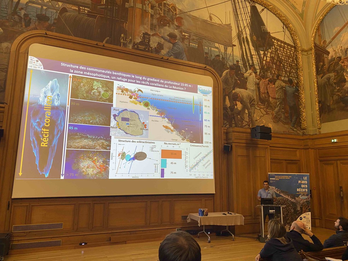 UMREntropie's tweet photo. Colloque #LabExCorail Présentation thèse par @LudovicHoarau97
"Structure des communautés benthiques le long du gradient de profondeur 15 - 95 m : la zone mésophotique, un refuge / récifs coralliens "
Encadrement #M_Adjeroud & #L_Penin
@UMREntropie @ird_fr @Univ_Reunion https://t.co/tzs3vVxIVN