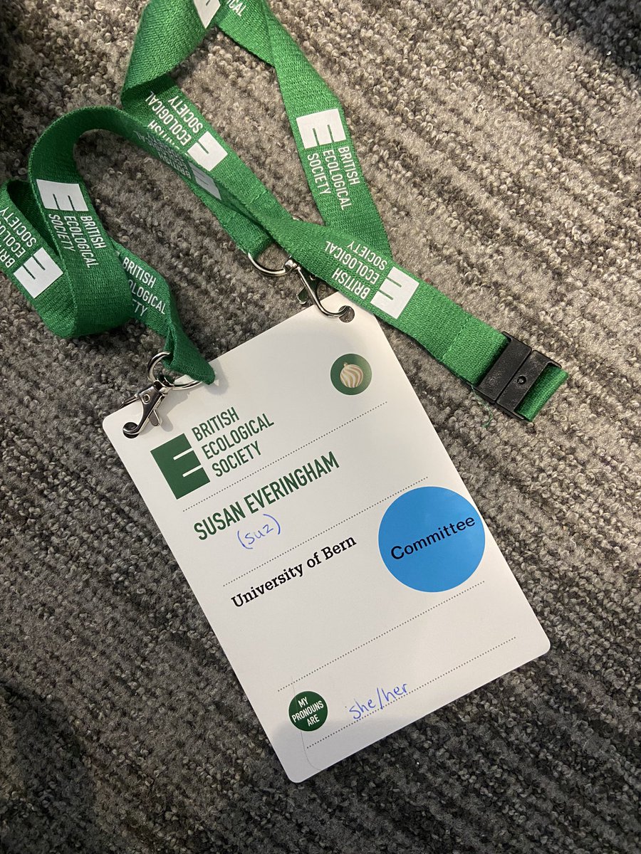 Suz Everingham tweet media