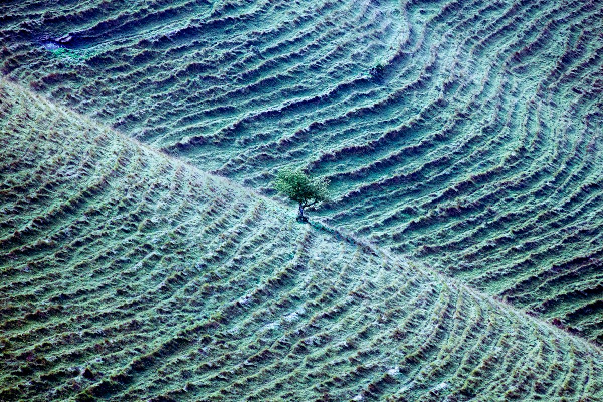 Are you a teacher, climate scientist, mental health professional, or youth activist who is concerned about the environment? This campaign on taking our climate anxieties seriously has just gone live with this letter: forms.gle/eAe48cRSF1E5y1… 
Every signature counts!