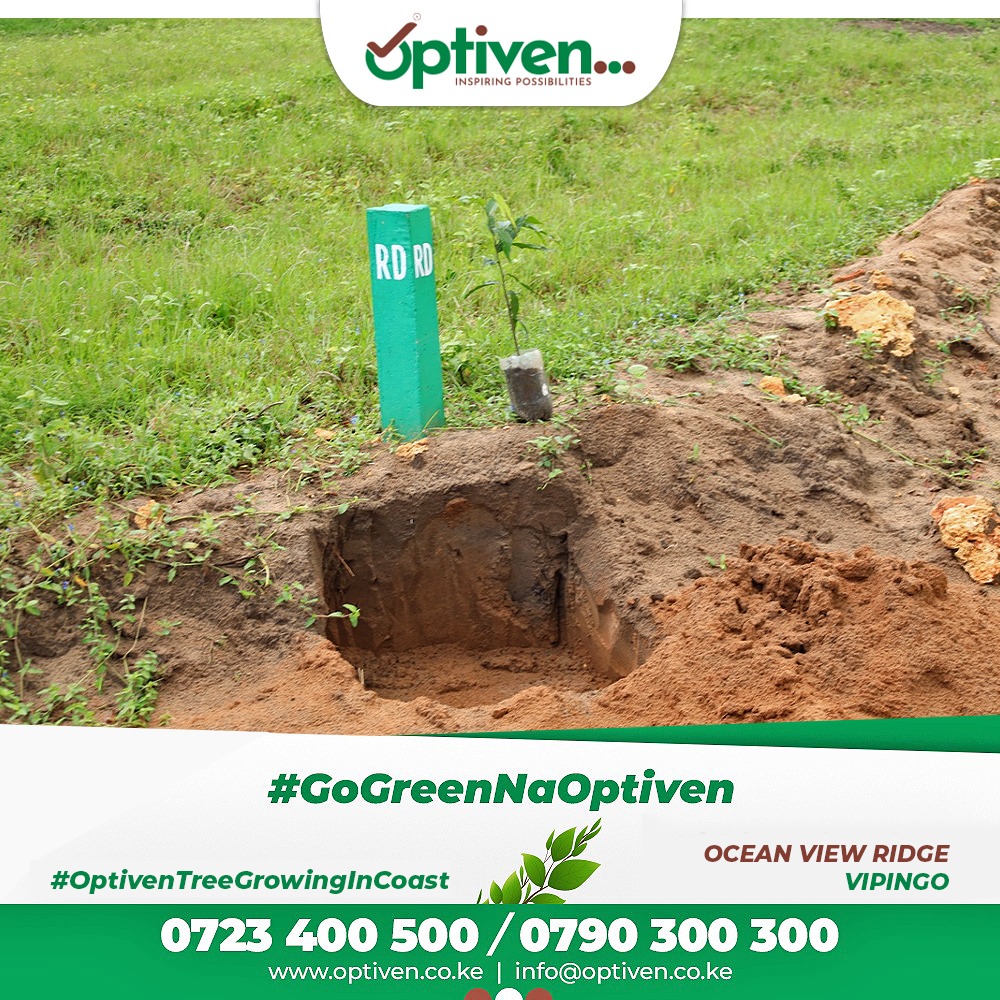 _CrazyNairobian's tweet photo. @OptivenLimited The process is still going on... 100 trees to be planted today 😊👌
#GoGreenNaOptiven #OptivenTreeGrowingInCoast https://t.co/7KB2nPbfe2
